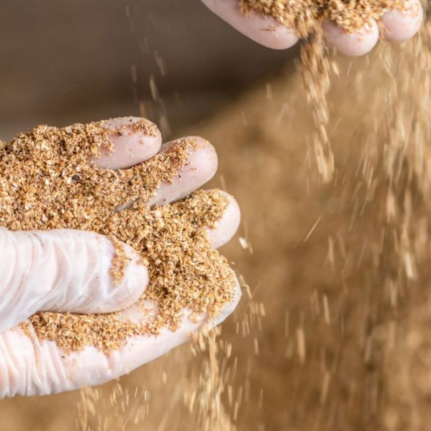 GURINDER art of food Gourmido